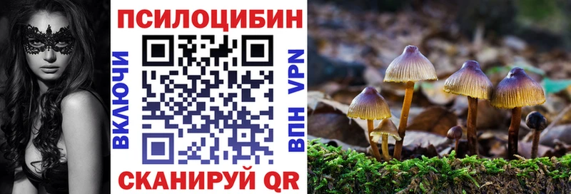Псилоцибиновые грибы Psilocybe  Шатура 