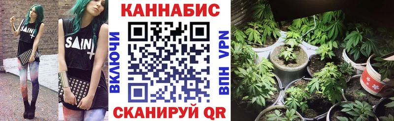 omg ссылки  Шатура  Бошки марихуана планчик  закладка 